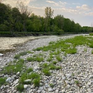 Meet your Posher, Jac